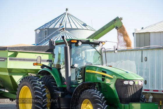 A farmer unloads corn into a grain truck