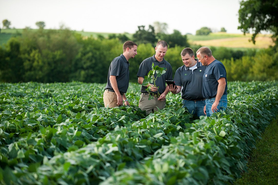 Agricultural specialists looking at soybeans on a farm near Wanamingo, Minnesota/