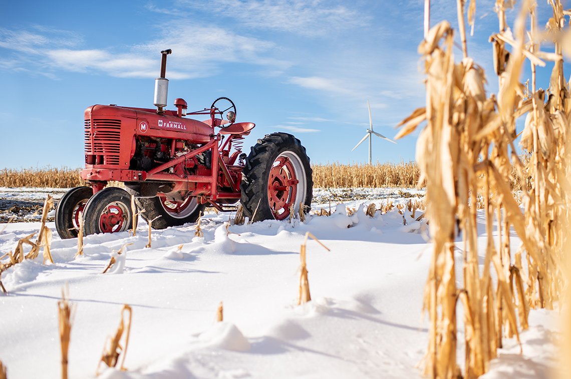 a vintage Farmall tractor sits in a cornfield